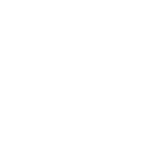 Paint depth assessment using professional gauge tool during vehicle evaluation