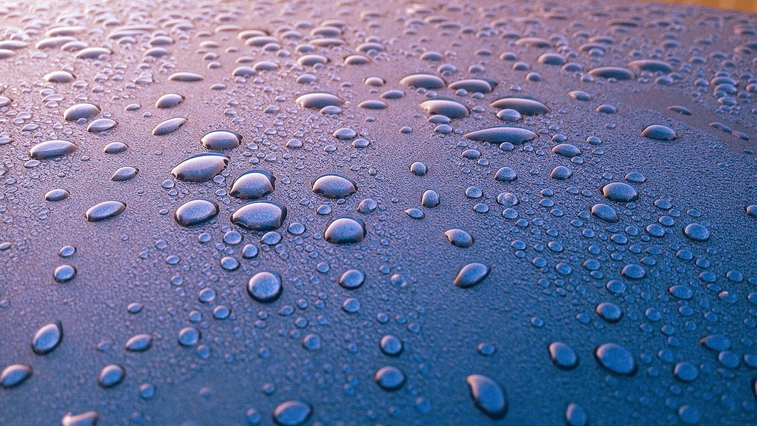 Water beading on a Revivify-coated surface