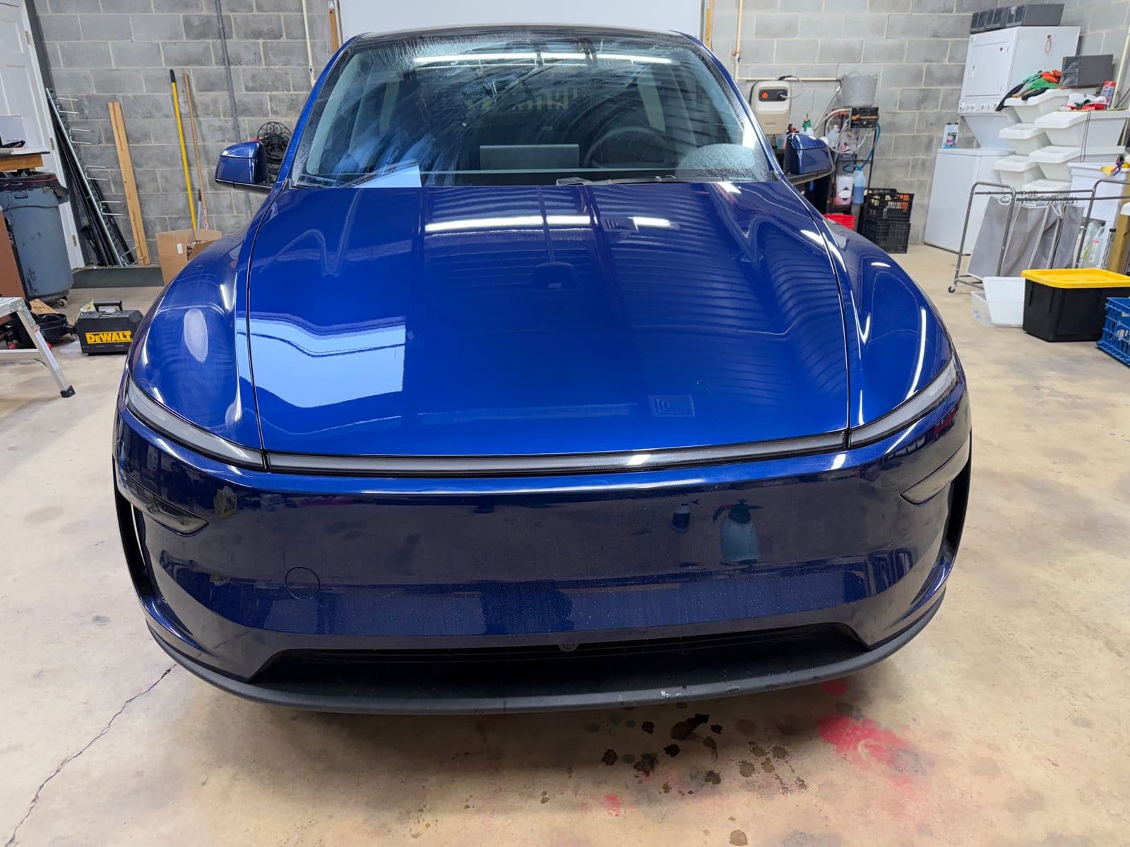 Blue Tesla front end during multi-step paint correction