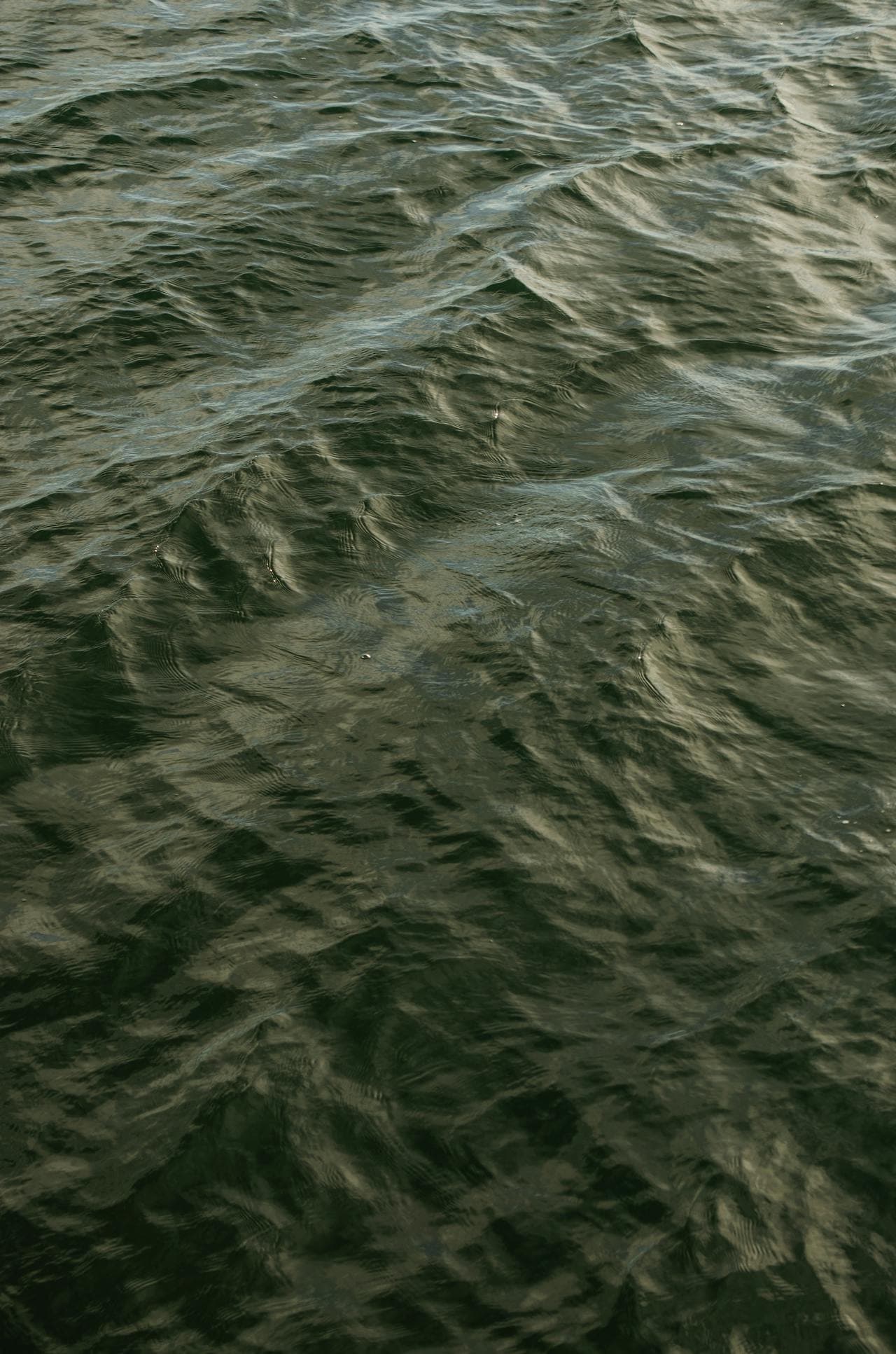 Rippling brackish tidal water in a Delmarva estuary